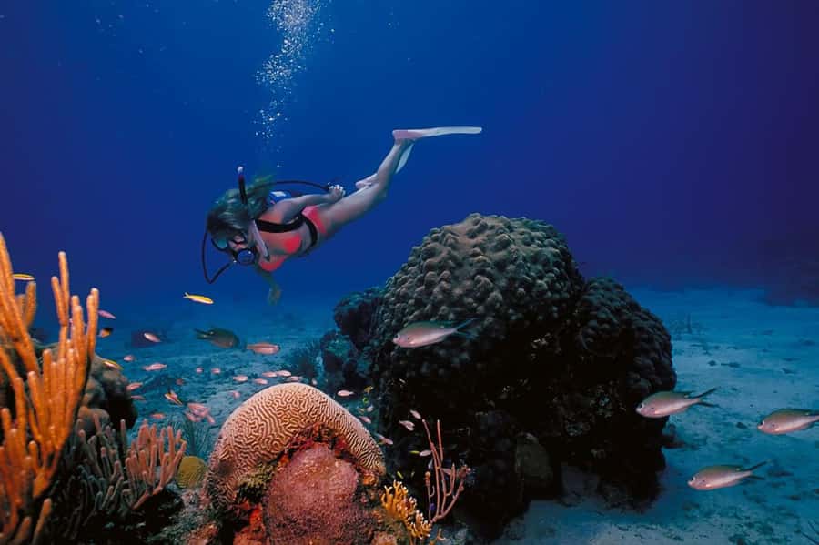 Try Scuba Diving in Racha Yai/noi: 3 Dives for Non-Certified - Leaving Phuket for Racha Yai and Racha Noi