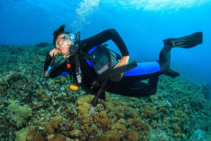 Try Scuba Diving in Racha Yai/noi: 3 Dives for Non-Certified - Session two: more time below the surface
