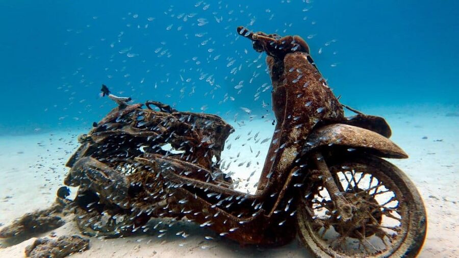 Try Scuba Diving in Racha Yai/noi: 3 Dives for Non-Certified - Session three: the longest look at Phuket’s marine life