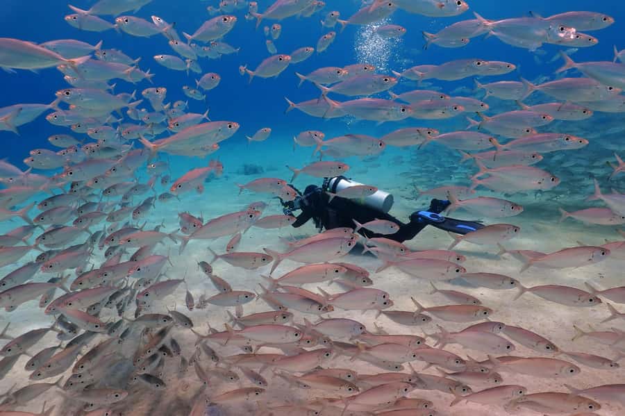 Try Scuba Diving in Racha Yai/noi: 3 Dives for Non-Certified - What happens before you enter the water