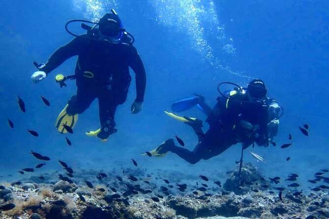 Try Scuba Diving in Split - Key points to know before you book