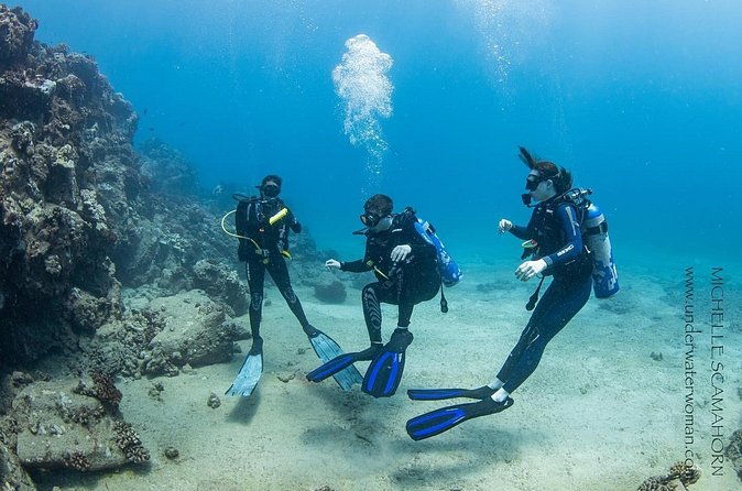 Try Scuba Diving on Kaua’i with Sea Turtles - What you might see below the surface