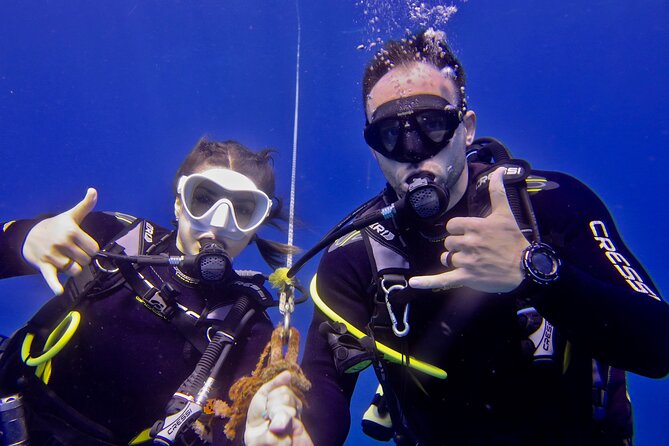 Try Scuba Diving on Kaua’i with Sea Turtles - How much value do you get for $665?