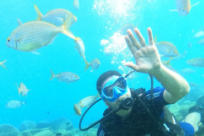 Try Scuba Diving Puerto Colon - A short boat ride to an easy site