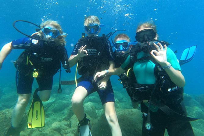Try Scuba Diving Puerto Colon - Who will enjoy this most?