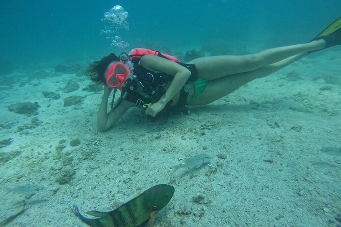 Try Scuba Diving & snorkeling with BBQ lunch in Fujairah - Meeting the team at Reef Oasis Diving Center