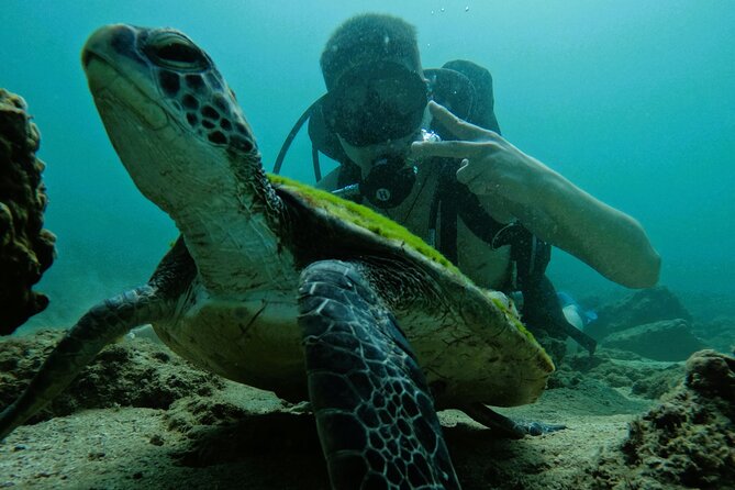 Try Scuba Diving & snorkeling with BBQ lunch & Transfer - Fujairah’s coral reefs from the boat