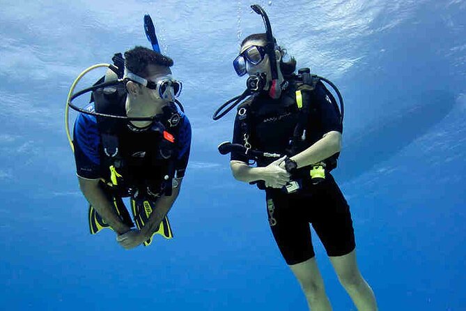Try Scuba Diving & snorkeling with BBQ lunch & Transfer - What the $150.71 price really covers