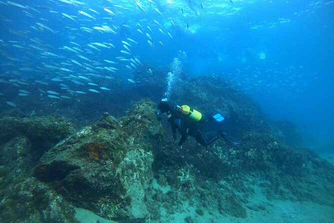 Try Scuba Diving with 2 Ocean Dives - Why the two-session format works