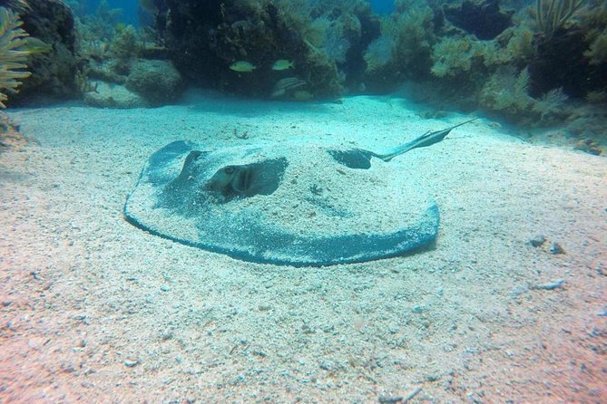 Try Scuba Diving with Professional Scuba Instructor - The lunch break and marina transfer