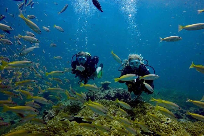 Try Scuba Diving - The theory lesson comes first