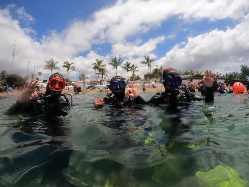 TRY SCUBA - Experience for beginners - Key points to know before booking