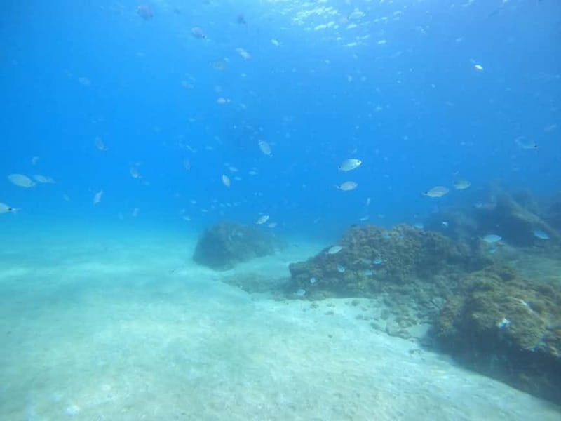 TRY SCUBA - Experience for beginners - A first look beneath Lanzarote’s coast