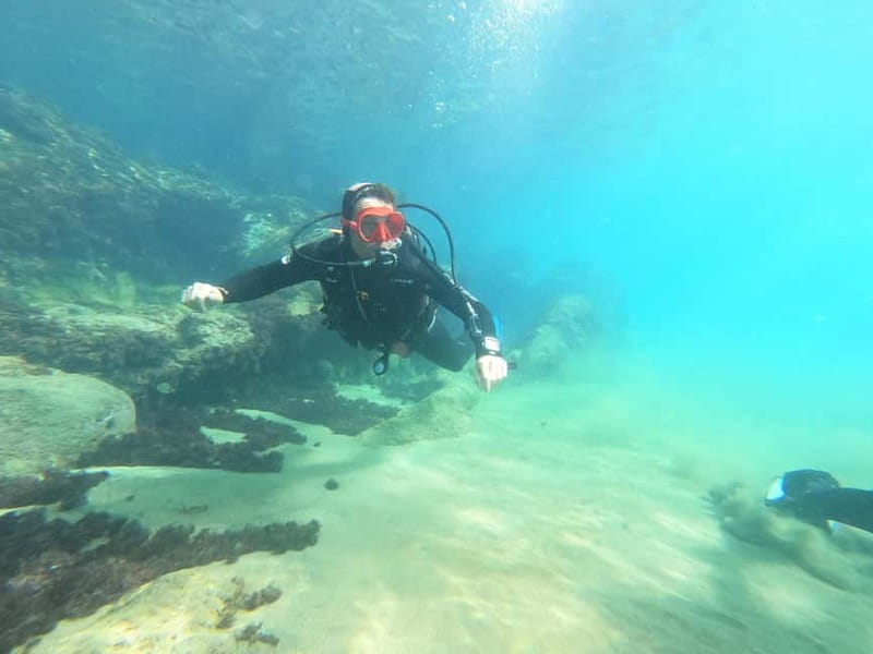 TRY SCUBA - Experience for beginners - Is $79 a fair price?