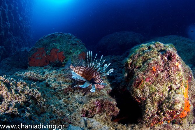 Try Scuba in Crete – Free Certification & Photos (Beginners) - Pickup, timing, and group size