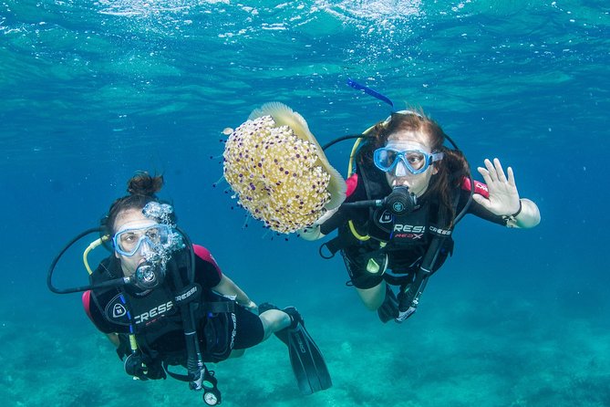Try Scuba in Crete – Free Certification & Photos (Beginners) - The underwater session at 9 to 10 meters