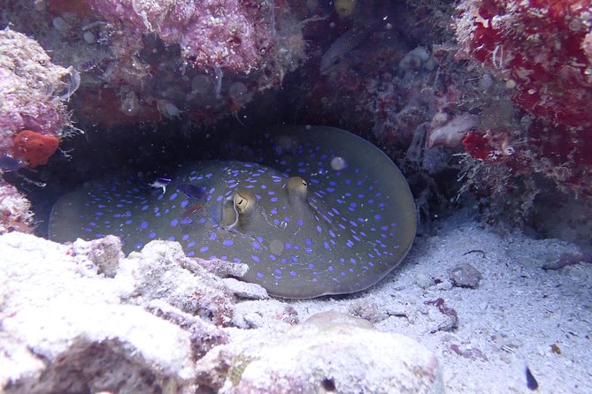 TRY SCUBA (non diver) - What your 8:30 am start really involves