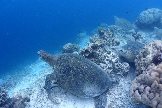 TRY SCUBA (non diver) - Mataking Island and the second session