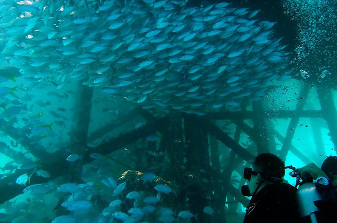 TRY SCUBA (non diver) - Fitness, flights, and practical planning