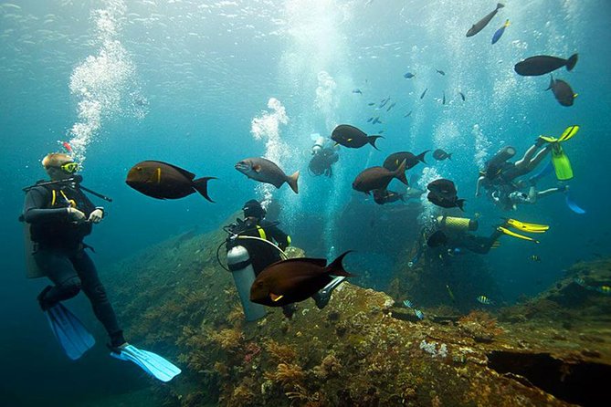 Tulamben Diving Tour Shipwreck USS Bali - The USS Liberty makes a forgiving first wreck