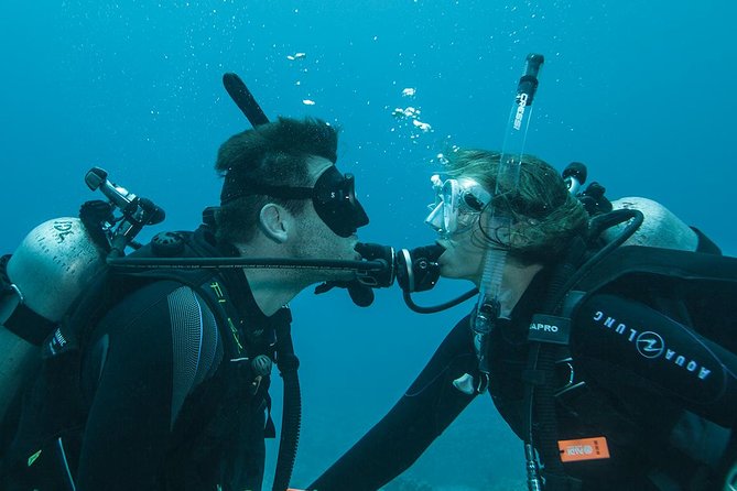 Tulamben Diving Tour Shipwreck USS Bali - What the $102.57 price includes