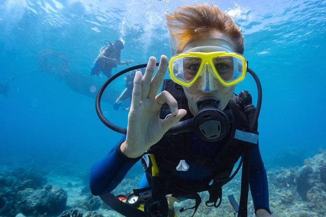 Tulamben Diving Tour Shipwreck USS Bali - Who should choose this experience