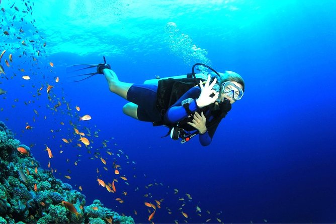 Tulamben Diving Tour Shipwreck USS Bali - Timing your return flight and cancellation