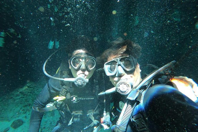 Tulum cenote diving. The ultimate experience in scuba - Equipment, photos, and personal attention