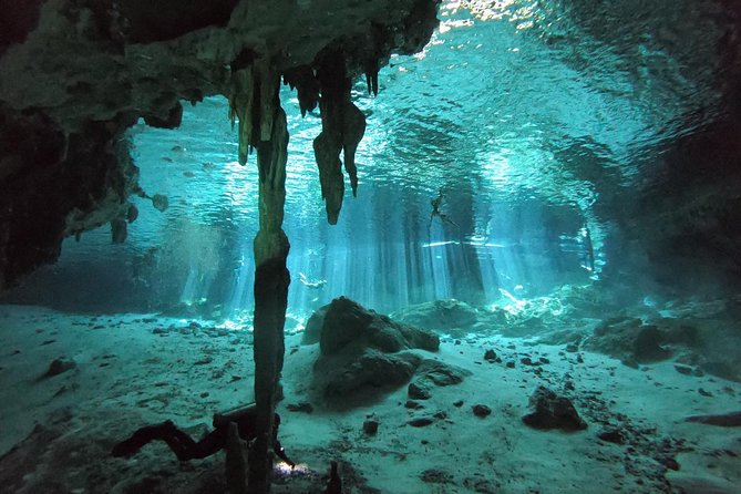 Tulum cenote diving. The ultimate experience in scuba - How much value is included