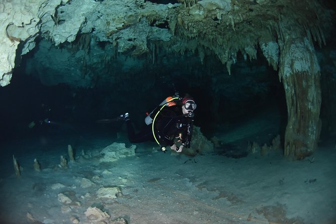 Tulum cenote diving. The ultimate experience in scuba - The 8 a.m. pickup and ride to the cenote
