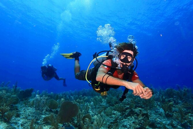 Tulum Diving (Reef) 2 Tanks - Key points to know before booking