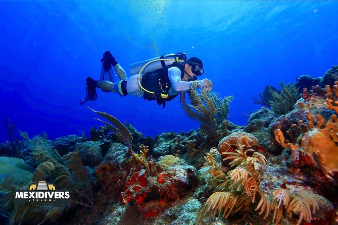 Tulum Diving (Reef) 2 Tanks - Preparing with a small crew