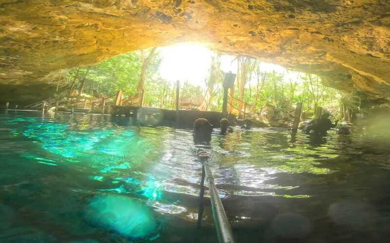 Tulum: Dos Ojos Cenote 2 Scuba Dives with Transfer Option - The second 40-minute session: entering the Bat Cave