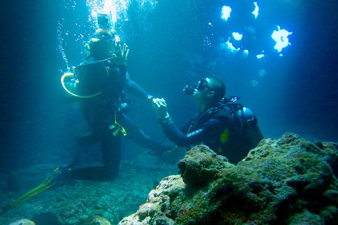 Turtle & Shark Scuba Dive in Lahaina: Certified - What happens at the Lahaina meeting point
