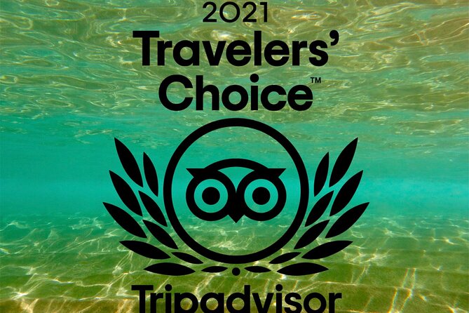 Turtle & Shark Scuba Dive in Lahaina: Certified - The value of individual instruction