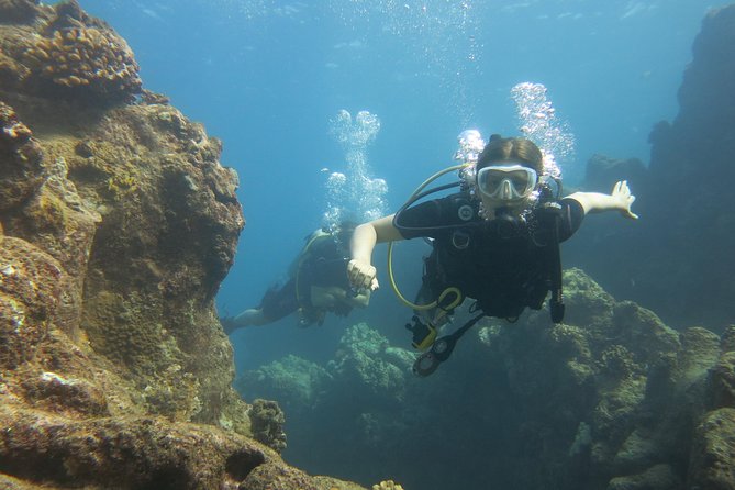 Turtle & Shark Scuba Dive in Lahaina: Certified - Is $259 a fair price?