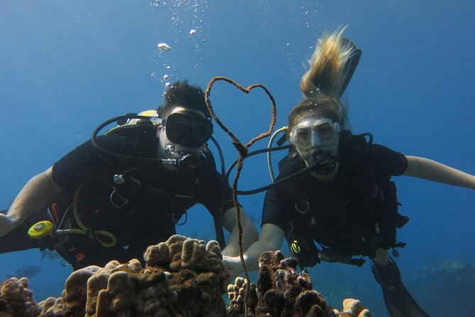 Turtle & Shark Scuba Dive in Lahaina: Certified - Why the shore format works well