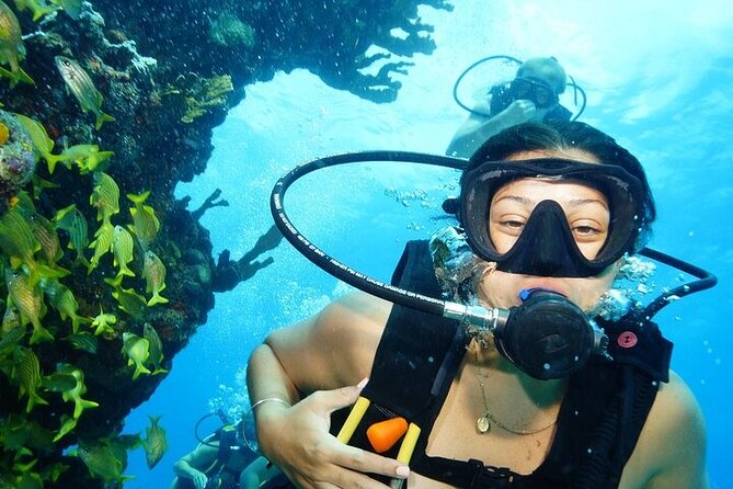 Two Dives and Class for Begginers Divers in Cancun - What makes this Cancun outing worth your time
