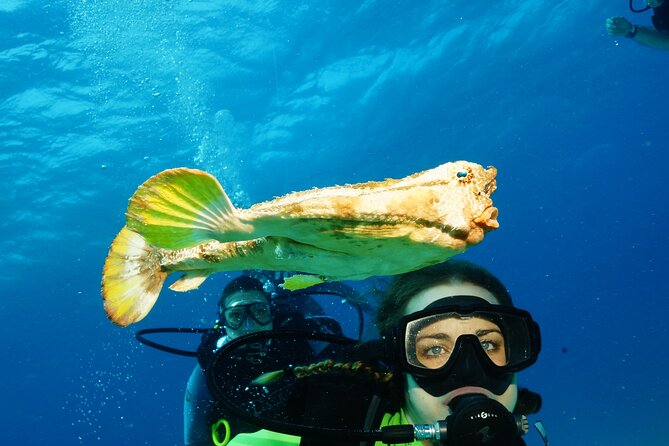 Two Dives and Class for Begginers Divers in Cancun - Your morning at the Kukulcan meeting point