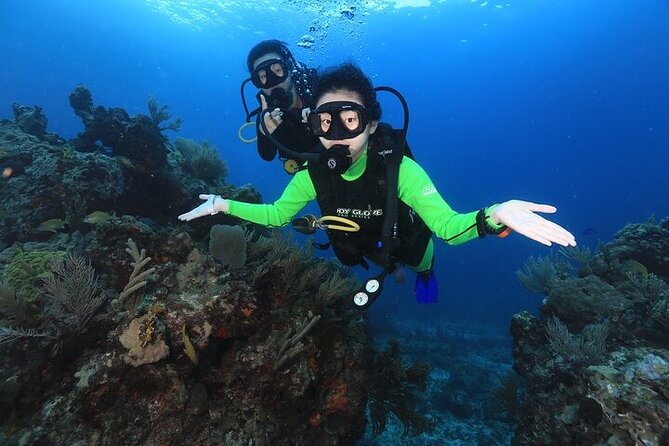 Two Dives and Class for Begginers Divers in Cancun - The instructors are the real value