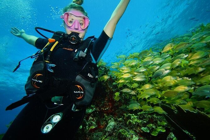 Two Dives and Class for Begginers Divers in Cancun - Who should book it, and who should pause