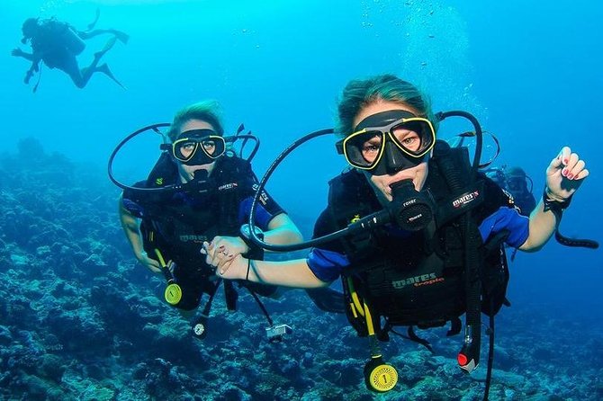 Two Dives for certified divers in Fujairah - Key points to know before booking