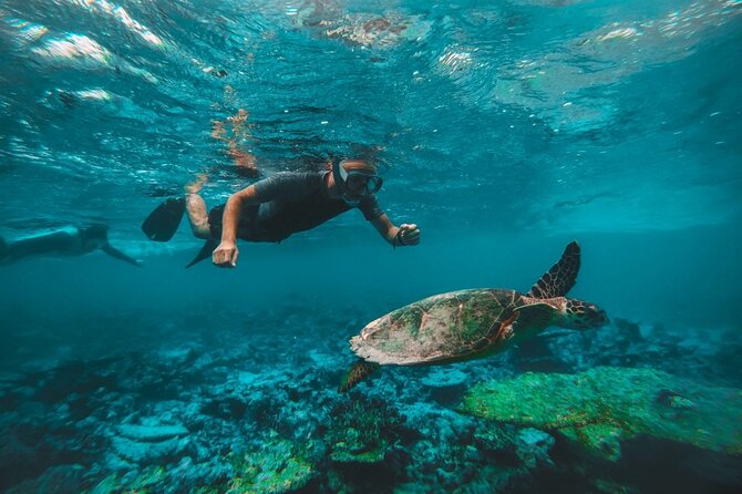 Two Dives for certified divers in Fujairah - From Dubai’s city roads to Fujairah’s mountain coast