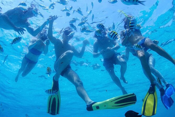 Two Dives for certified divers in Fujairah - How the two-site schedule works