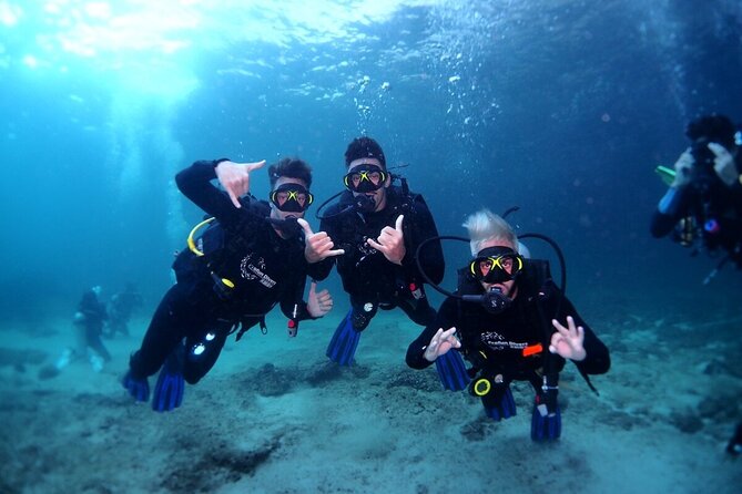 Two Dives for certified divers in Fujairah - What the boat adds to the day