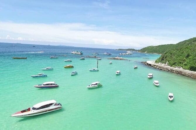 Two Fun Dives for Certified Divers in Koh Kood or Koh Rang - Who should book this outing?