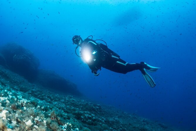 Two Morning Dives in Gozo for Certified Diver - What happens at 8 AM in Marsalforn