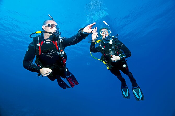 Two Morning Dives in Gozo for Certified Diver - The second session uses the same general area
