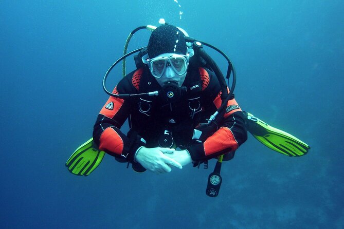 Two Morning Dives in Gozo for Certified Diver - What the $181.02 price covers