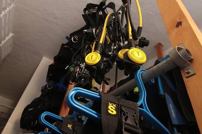 Two Morning Dives in Gozo for Certified Diver - The first site briefing and underwater session